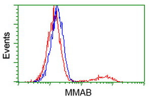 MMAB Antibody in Flow Cytometry (Flow)