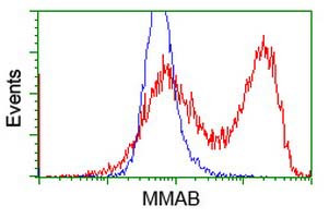 MMAB Antibody in Flow Cytometry (Flow)