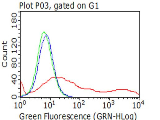 MME Antibody in Flow Cytometry (Flow)