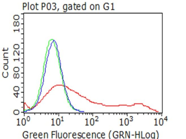 MME Antibody in Flow Cytometry (Flow)