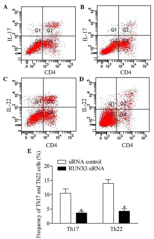 IL-22 Antibody in Flow Cytometry (Flow)