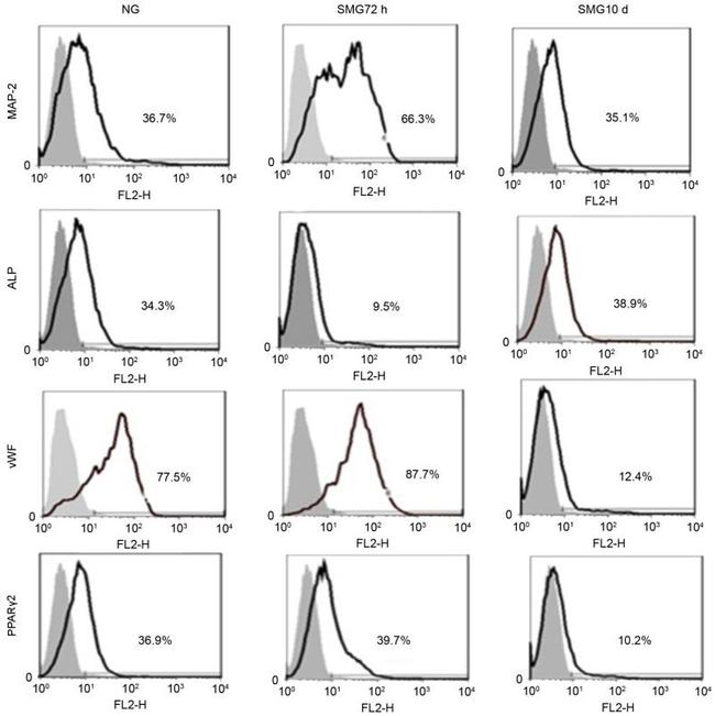 VWF Antibody in Flow Cytometry (Flow)