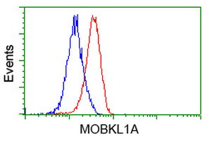 MOBKL1A Antibody in Flow Cytometry (Flow)