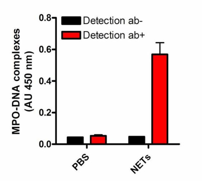 Myeloperoxidase Antibody in ELISA (ELISA)