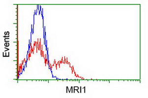 MRI1 Antibody in Flow Cytometry (Flow)