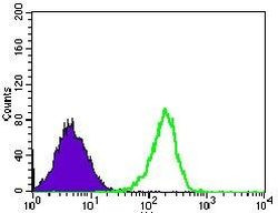 MRPL42 Antibody in Flow Cytometry (Flow)