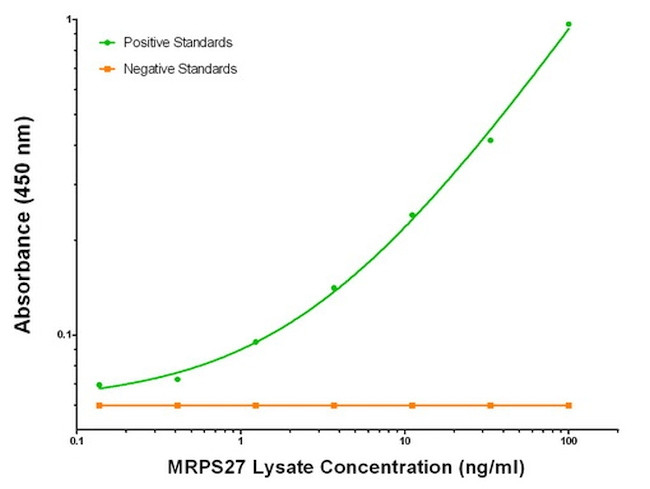 MRPS27 Antibody in ELISA (ELISA)