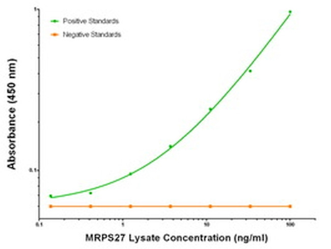 MRPS27 Antibody in ELISA (ELISA)