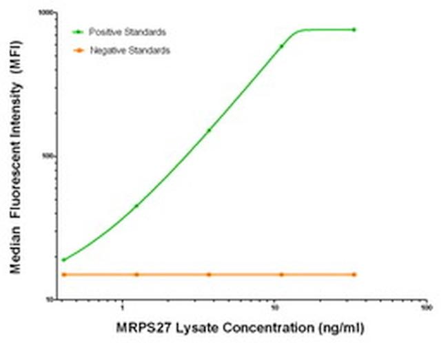 MRPS27 Antibody in Luminex (LUM)