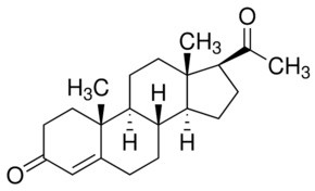 Progesterone Antibody