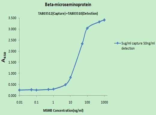 MSMB Antibody in ELISA (ELISA)