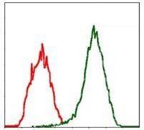 Moesin Antibody in Flow Cytometry (Flow)