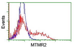 MTMR2 Antibody in Flow Cytometry (Flow)