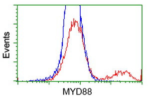 MYD88 Antibody in Flow Cytometry (Flow)