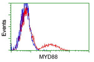 MYD88 Antibody in Flow Cytometry (Flow)