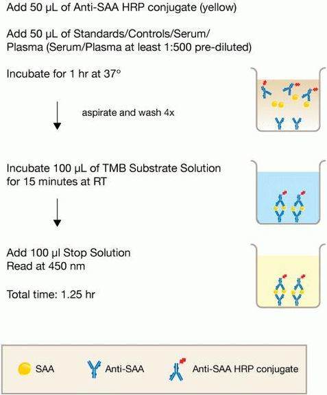 Livestock SAA ELISA Kit