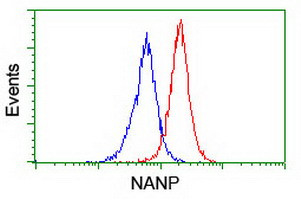 NANP Antibody in Flow Cytometry (Flow)