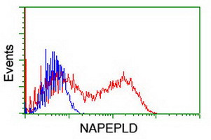 NAPEPLD Antibody in Flow Cytometry (Flow)