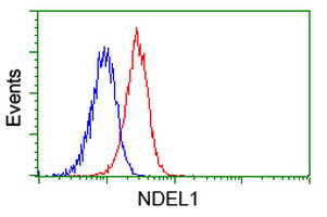 NDEL1 Antibody in Flow Cytometry (Flow)