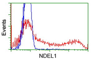 NDEL1 Antibody in Flow Cytometry (Flow)