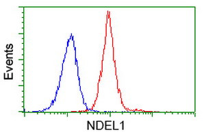 NDEL1 Antibody in Flow Cytometry (Flow)