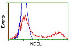 NDEL1 Antibody in Flow Cytometry (Flow)