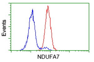 NDUFA7 Antibody in Flow Cytometry (Flow)