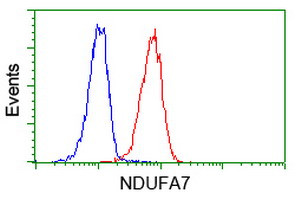 NDUFA7 Antibody in Flow Cytometry (Flow)