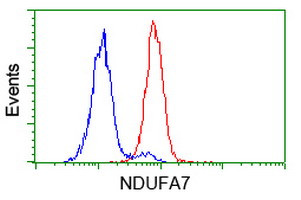 NDUFA7 Antibody in Flow Cytometry (Flow)