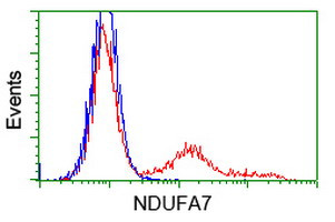 NDUFA7 Antibody in Flow Cytometry (Flow)