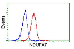 NDUFA7 Antibody in Flow Cytometry (Flow)