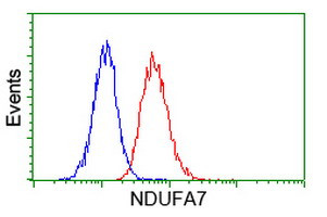 NDUFA7 Antibody in Flow Cytometry (Flow)