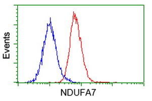 NDUFA7 Antibody in Flow Cytometry (Flow)