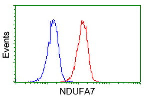 NDUFA7 Antibody in Flow Cytometry (Flow)