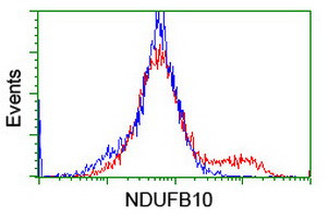 NDUFB10 Antibody in Flow Cytometry (Flow)