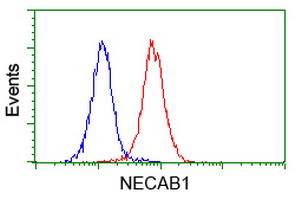 NECAB1 Antibody in Flow Cytometry (Flow)