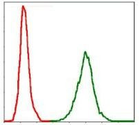 NEFL Antibody in Flow Cytometry (Flow)