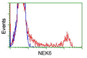 NEK6 Antibody in Flow Cytometry (Flow)