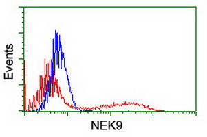 NEK9 Antibody in Flow Cytometry (Flow)