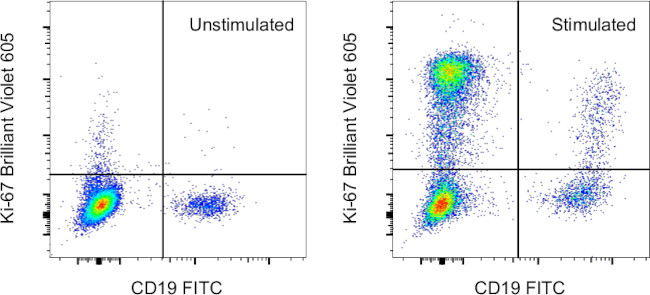 Ki-67 Antibody in Flow Cytometry (Flow)