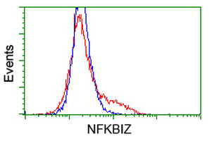 NFKBIZ Antibody in Flow Cytometry (Flow)