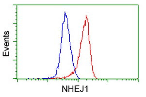 NHEJ1 Antibody in Flow Cytometry (Flow)