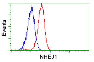 NHEJ1 Antibody in Flow Cytometry (Flow)