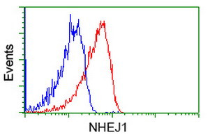 NHEJ1 Antibody in Flow Cytometry (Flow)