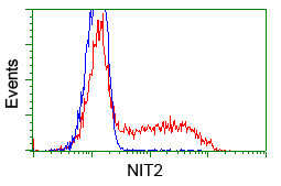 NIT2 Antibody in Flow Cytometry (Flow)