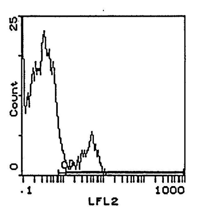 NK1.1 Antibody in Flow Cytometry (Flow)