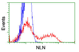 NLN Antibody in Flow Cytometry (Flow)