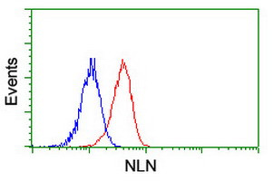 NLN Antibody in Flow Cytometry (Flow)