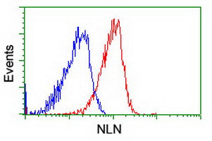 NLN Antibody in Flow Cytometry (Flow)