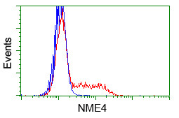 NME4 Antibody in Flow Cytometry (Flow)